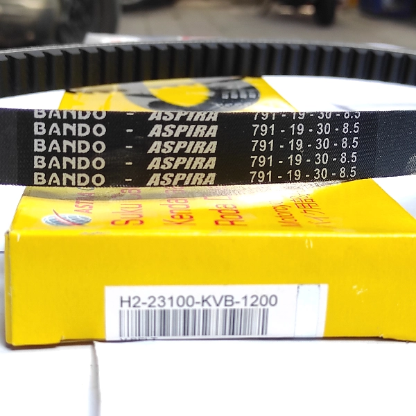 ASPIRA Vbelt Vario Lama KVB