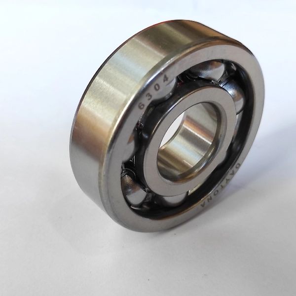 DAYTONA Laher Bearing 6304