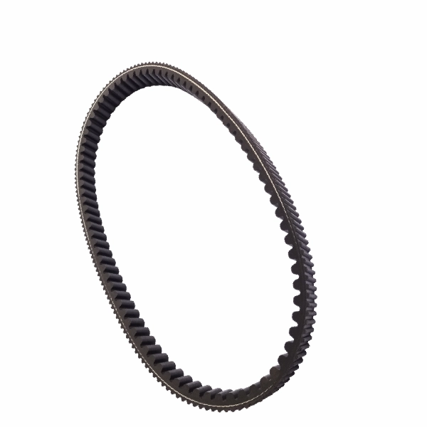DAYTONA Vbelt Vario ESP 150 5042 (Gerigi Luar Dalam)