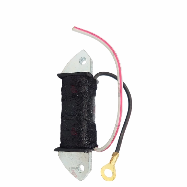 HYBS SPUL CDI RC80 RC100 RGR