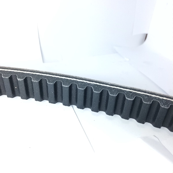 MITSUBOSHI Vbelt Xeon 44D