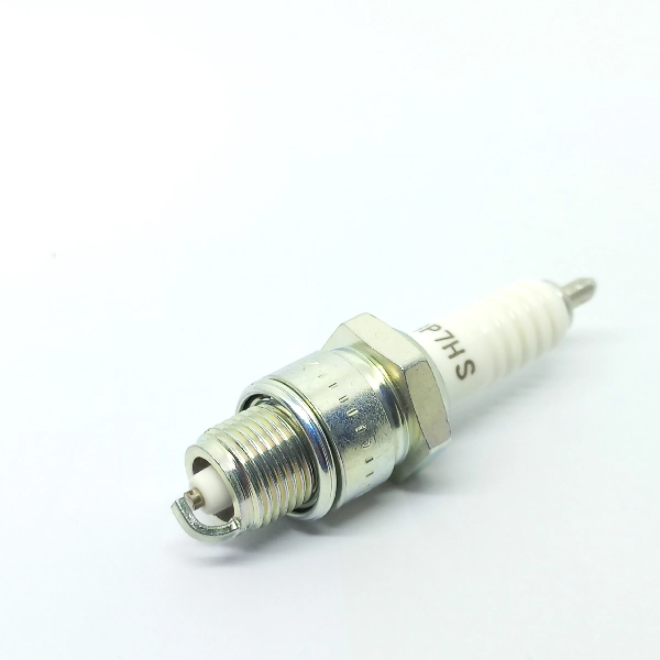 NGK Busi BP7HS (D)