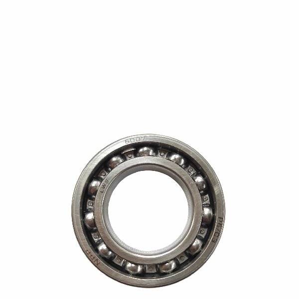 NPP Laher Bearing 6007