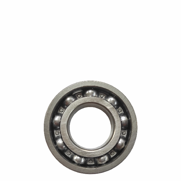 NPP Laher Bearing 6205