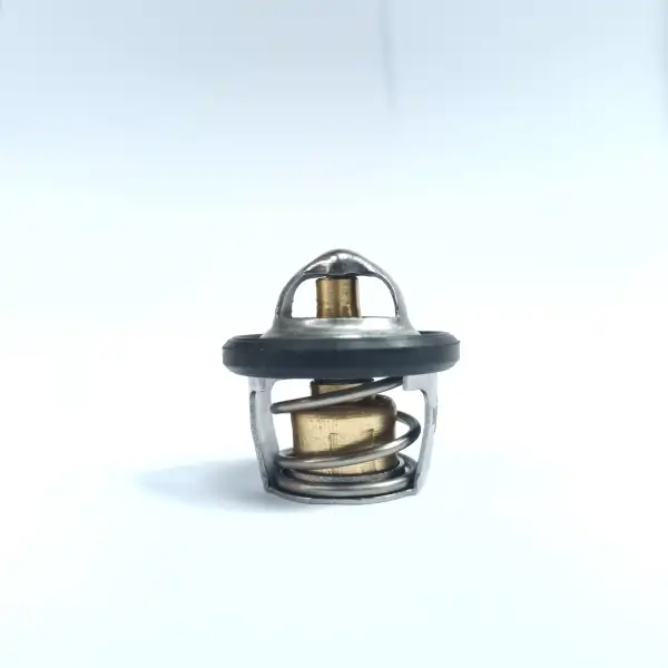 NPP Termostat Yamaha Xeon Karbu RC