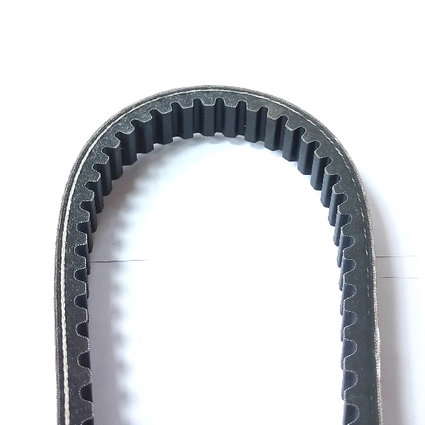 NPP Vbelt Vario125 Fi KZR