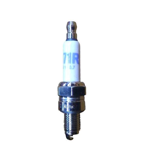 TDR Busi Ballistic 071R