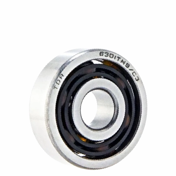 TDR Laher Bearing 6301