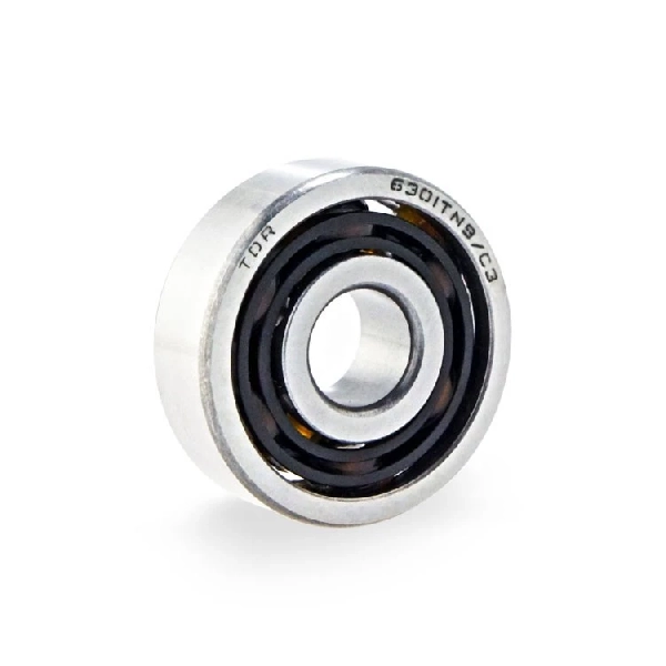 TDR Laher Bearing 6301
