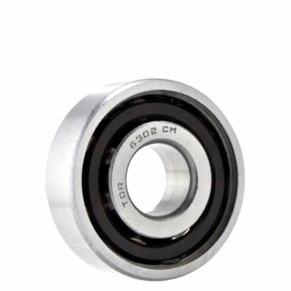 TDR Laher Bearing 6302
