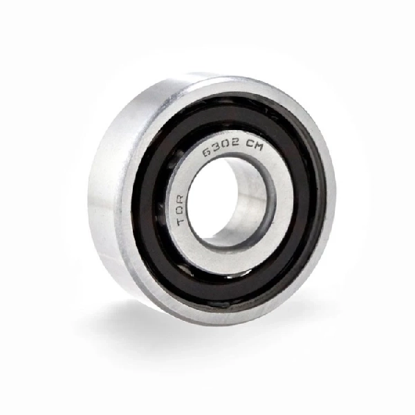 TDR Laher Bearing 6302