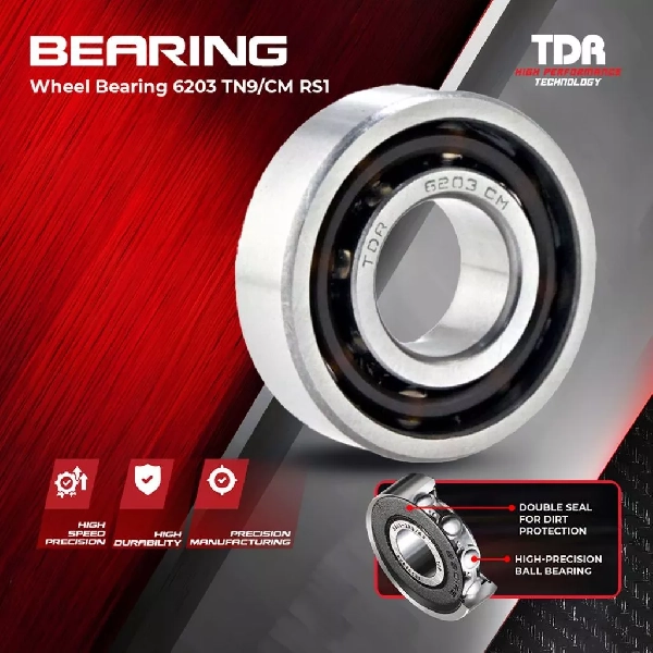 TDR Laher Bearing 6203