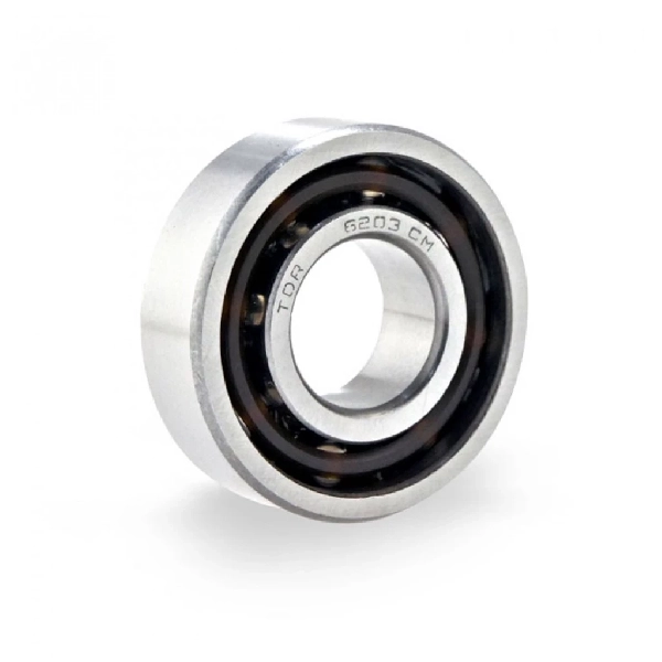TDR Laher Bearing 6203
