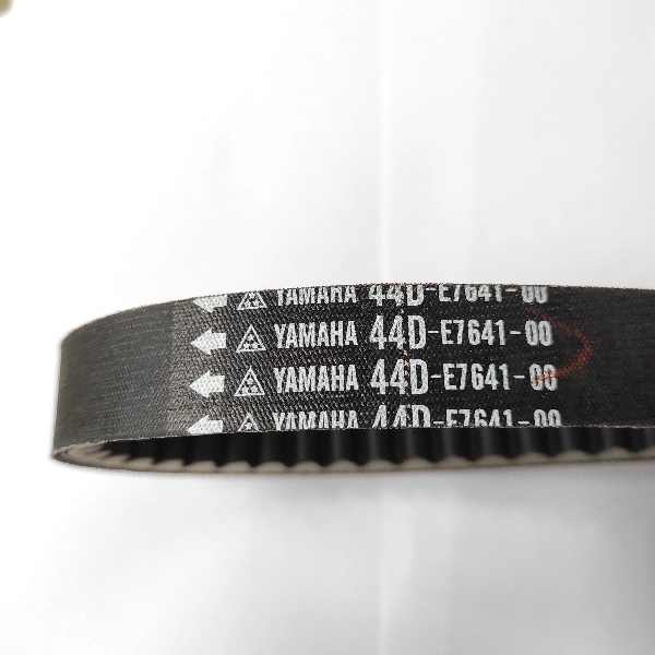 YGP Vbelt Xeon Ori 44D