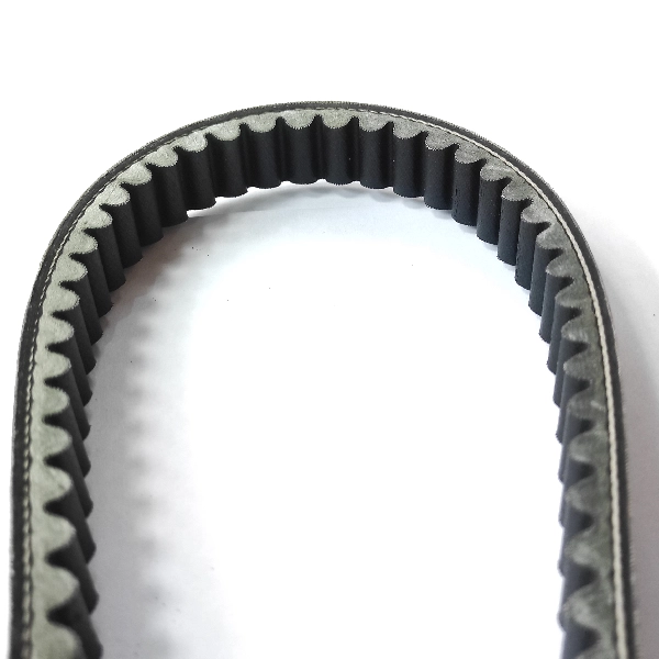 YGP Vbelt Xeon Ori 44D