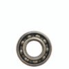 DAYTONA Laher Bearing 6205