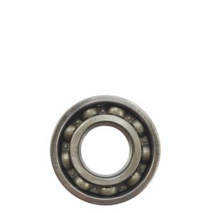 DAYTONA Laher Bearing 6205