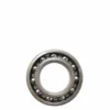 NPP Laher Bearing 6007