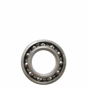 NPP Laher Bearing 6007