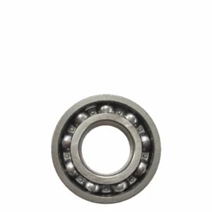 NPP Laher Bearing 6205