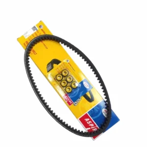 ASPIRA Vbelt +Roller Vario125 KZR
