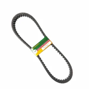 NPP Vbelt Vario125 Fi KZR